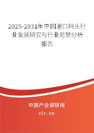 2025-2031年中國港口碼頭行業發展研究與行業前景分析報告