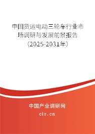 中國貨運電動三輪車行業市場調研與發展前景報告（2025-2031年）