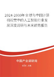 2024-2030年全球與中國計算機(jī)視覺中的人工智能行業(yè)發(fā)展深度調(diào)研與未來趨勢報告