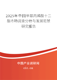 2025年中國甲基丙烯酸十二酯市場調查分析與發展前景研究報告