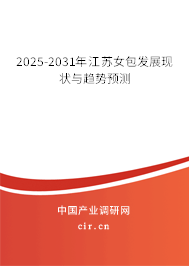 2025-2031年江蘇女包發展現狀與趨勢預測