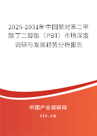 2025-2031年中國聚對苯二甲酸丁二醇酯（PBT）市場深度調研與發展趨勢分析報告