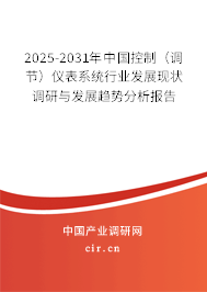 2025-2031年中國控制（調節）儀表系統行業發展現狀調研與發展趨勢分析報告