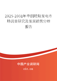 2025-2031年中國垃圾發電市場調查研究及發展趨勢分析報告