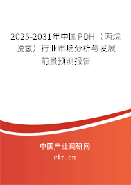 2025-2031年中國PDH（丙烷脫氫）行業市場分析與發展前景預測報告