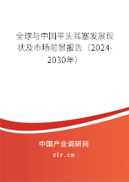 全球與中國平頭耳塞發展現狀及市場前景報告（2024-2030年）