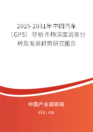 2025-2031年中國汽車（GPS）導航市場深度調查分析及發展趨勢研究報告
