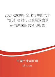 2024-2030年全球與中國汽車氣門桿密封行業發展深度調研與未來趨勢預測報告