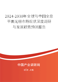 2024-2030年全球與中國全息平面光柵市場現狀深度調研與發展趨勢預測報告