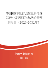 中國燃料電池狀態監測傳感器行業發展研及市場前景預測報告（2025-2031年）