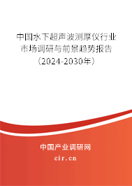 中國水下超聲波測厚儀行業市場調研與前景趨勢報告（2024-2030年）