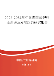 2025-2031年中國四硼酸鋰行業調研及發展趨勢研究報告