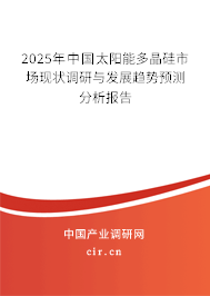 2024年中國太陽能多晶硅市場現狀調研與發展趨勢預測分析報告