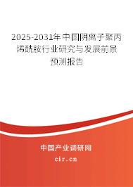 2025-2031年中國陰離子聚丙烯酰胺行業(yè)研究與發(fā)展前景預(yù)測報告