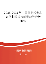 2024-2030年中國智能IC卡水表行業(yè)現(xiàn)狀與前景趨勢(shì)分析報(bào)告