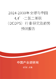 2024-2030年全球與中國4,4’-二氯二苯砜（DCDPS）行業(yè)研究及趨勢預(yù)測報(bào)告
