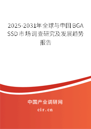 2025-2031年全球與中國(guó)BGA SSD市場(chǎng)調(diào)查研究及發(fā)展趨勢(shì)報(bào)告