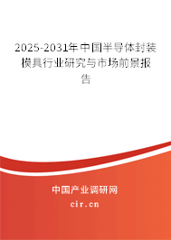 2024-2030年中國半導體封裝模具行業研究與市場前景報告