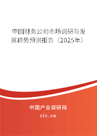 中國財務公司市場調研與發展趨勢預測報告（2025年）