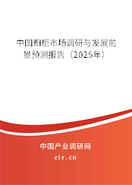 中國櫥柜市場調(diào)研與發(fā)展前景預(yù)測報告（2025年）
