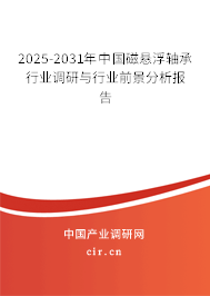 2025-2031年中國磁懸浮軸承行業調研與行業前景分析報告