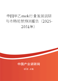 中國甲乙mek行業發展調研與市場前景預測報告（2025-2031年）