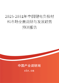 2025-2031年中國鋰電負極材料市場全面調研與發展趨勢預測報告