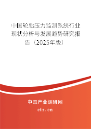 中國輪胎壓力監(jiān)測系統(tǒng)行業(yè)現(xiàn)狀分析與發(fā)展趨勢研究報(bào)告（2025年版）