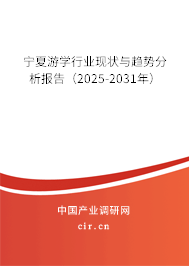 寧夏游學行業現狀與趨勢分析報告（2025-2031年）
