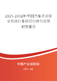 2025-2031年中國汽車主動安全系統行業研究分析與前景趨勢報告