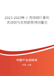 2023-2029年上海燒堿行業(yè)現(xiàn)狀調(diào)研與前景趨勢預(yù)測報告