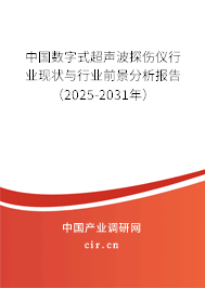 中國數字式超聲波探傷儀行業現狀與行業前景分析報告（2025-2031年）