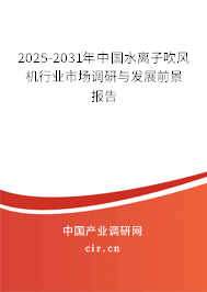 2025-2031年中國水離子吹風機行業市場調研與發展前景報告
