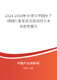 2024-2030年全球與中國水下球閥行業發展深度調研與未來趨勢報告