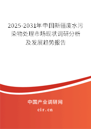 2025-2031年中國新疆廢水污染物處理市場現狀調研分析及發展趨勢報告