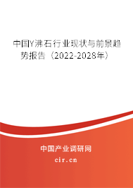 中國Y沸石行業現狀與前景趨勢報告（2022-2028年）