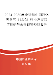 2024-2030年全球與中國液化天然氣（LNG）行業發展深度調研與未來趨勢預測報告