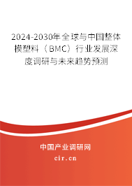 2024-2030年全球與中國整體模塑料（BMC）行業發展深度調研與未來趨勢預測
