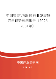 中國智能VR眼鏡行業(yè)發(fā)展研究與趨勢預(yù)測報告（2025-2031年）