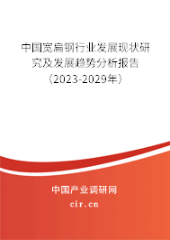 中國寬扁鋼行業發展現狀研究及發展趨勢分析報告（2023-2029年）