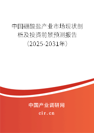 中國硼酸鹽產(chǎn)業(yè)市場現(xiàn)狀剖析及投資前景預測報告（2025-2031年）