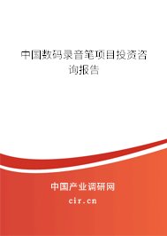 中國數碼錄音筆項目投資咨詢報告