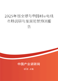 2025年版全球與中國48v電機市場調研與發展前景預測報告