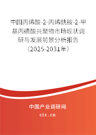 中國丙烯酸-2-丙烯酰胺-2-甲基丙磺酸共聚物市場現狀調研與發展前景分析報告（2025-2031年）