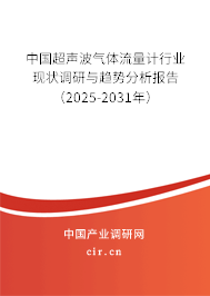 中國超聲波氣體流量計行業現狀調研與趨勢分析報告（2025-2031年）