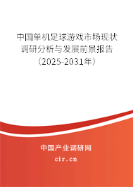 中國單機足球游戲市場現狀調研分析與發展前景報告（2025-2031年）