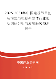 2025-2031年中國電視節目創新模式與電視新媒體行業現狀調研分析與發展趨勢預測報告
