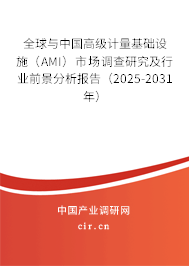 全球與中國高級計量基礎設施（AMI）市場調查研究及行業前景分析報告（2025-2031年）