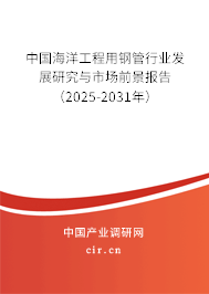 中國海洋工程用鋼管行業發展研究與市場前景報告（2025-2031年）