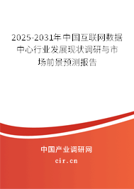2025-2031年中國互聯(lián)網(wǎng)數(shù)據(jù)中心行業(yè)發(fā)展現(xiàn)狀調(diào)研與市場前景預(yù)測報告